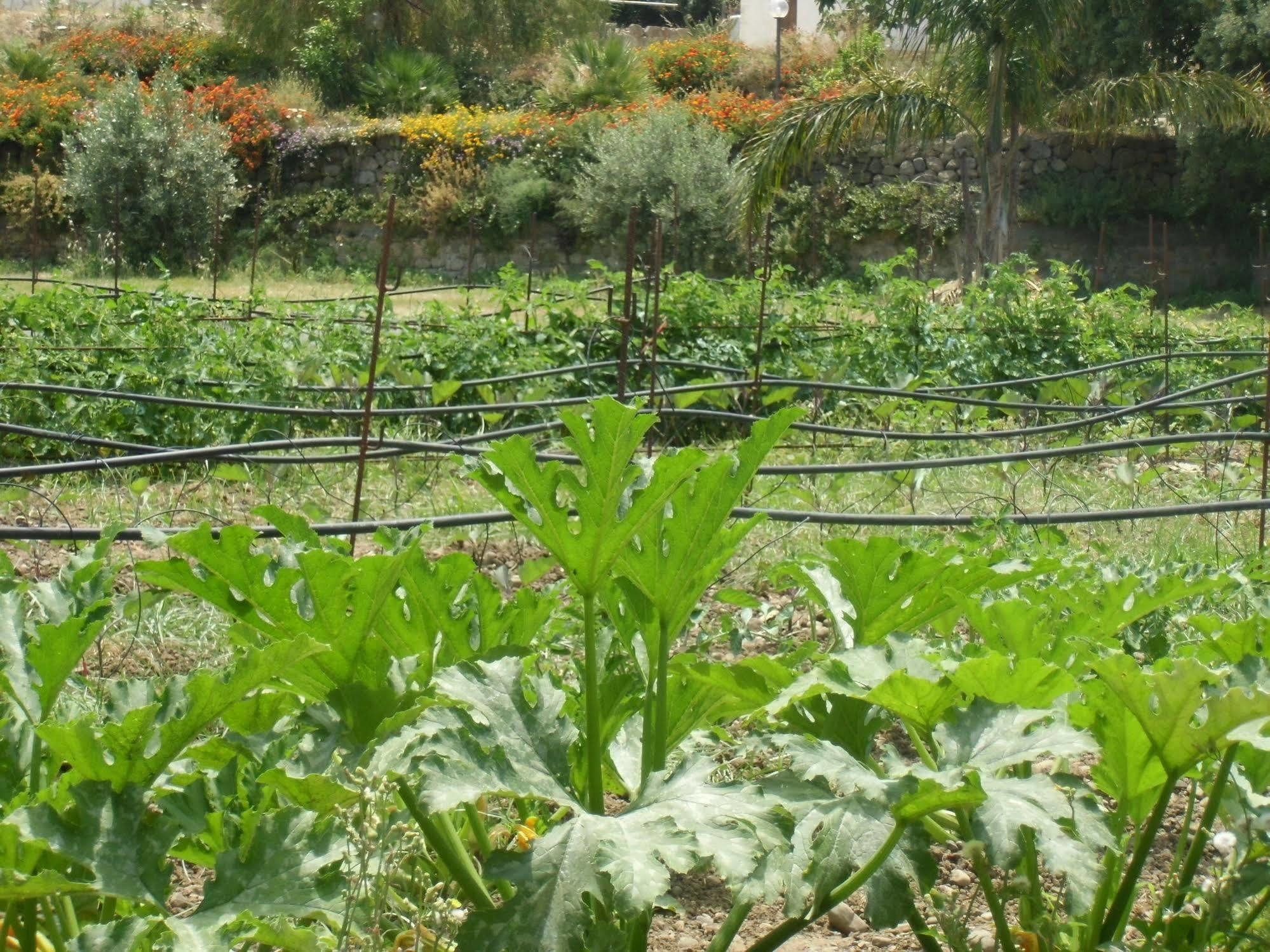 הוילה San Fratello Stella Di Sicilia מראה חיצוני תמונה