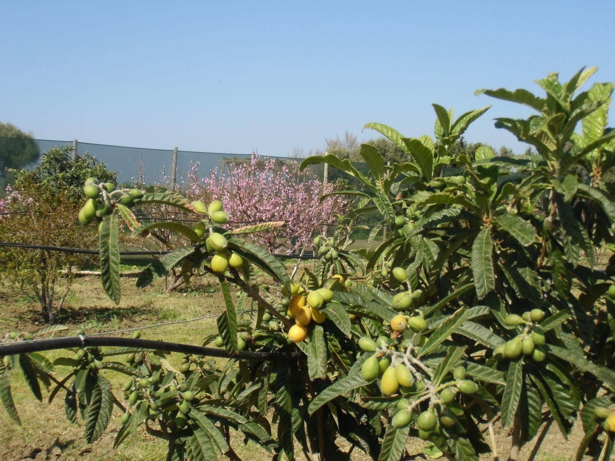 הוילה San Fratello Stella Di Sicilia מראה חיצוני תמונה